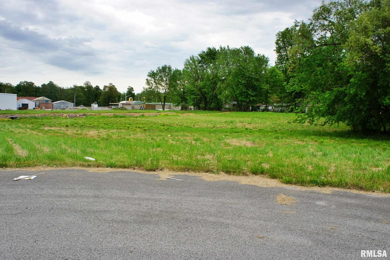 0 Rushing Drive Metropolis, IL 62960 - Photo 10 of 13 a view of a yard with a tree