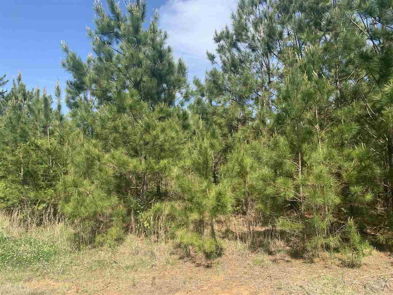 None None None Purvis Road, Unit NONE Walnut Grove, MS 39189 - Photo 2 of 13 Photo 2