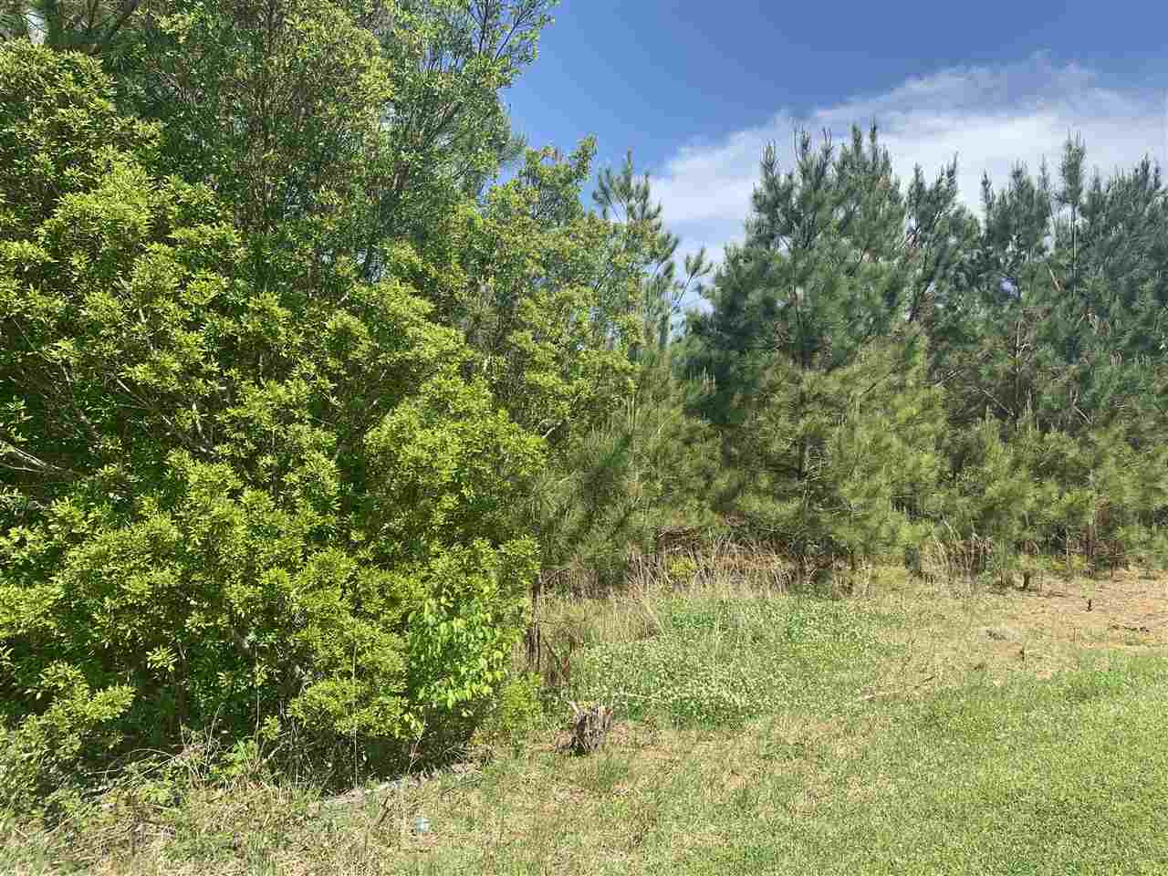 None None None Purvis Road, Unit NONE Walnut Grove, MS 39189 - Photo 3 of 13 Photo 3