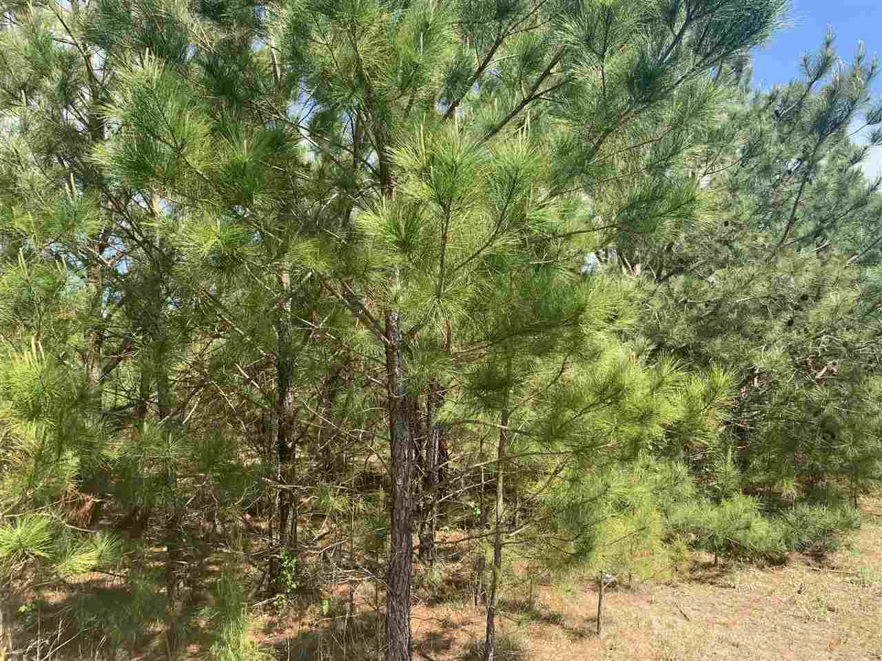 None None None Purvis Road, Unit NONE Walnut Grove, MS 39189 - Photo 4 of 13 Photo 4