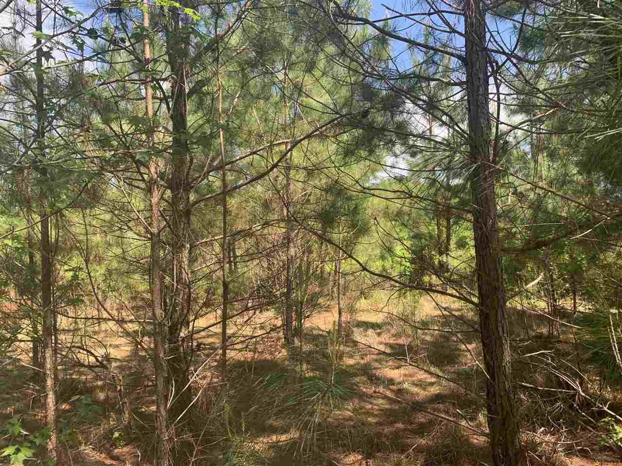 None None None Purvis Road, Unit NONE Walnut Grove, MS 39189 - Photo 5 of 13 Photo 5