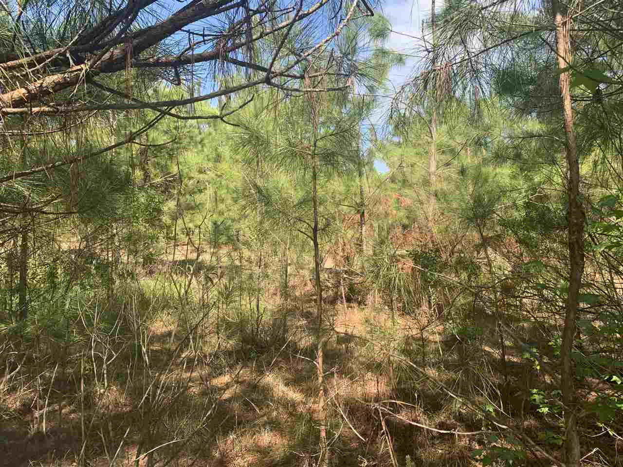 None None None Purvis Road, Unit NONE Walnut Grove, MS 39189 - Photo 6 of 13 Photo 6