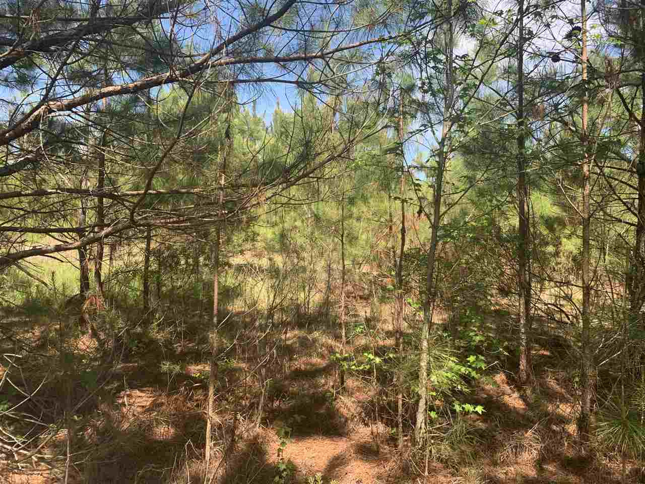 None None None Purvis Road, Unit NONE Walnut Grove, MS 39189 - Photo 7 of 13 Photo 7