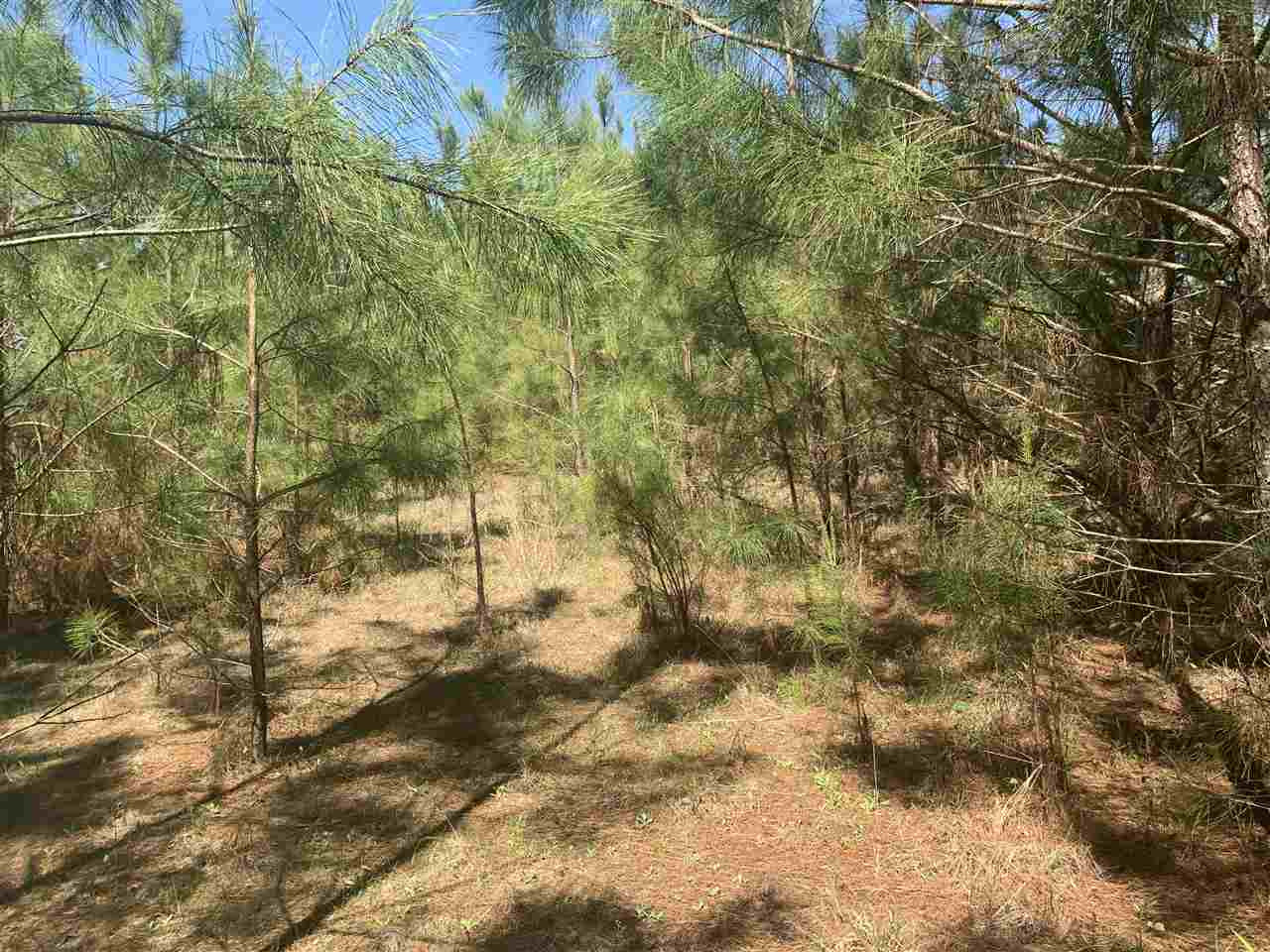 None None None Purvis Road, Unit NONE Walnut Grove, MS 39189 - Photo 8 of 13 Photo 8