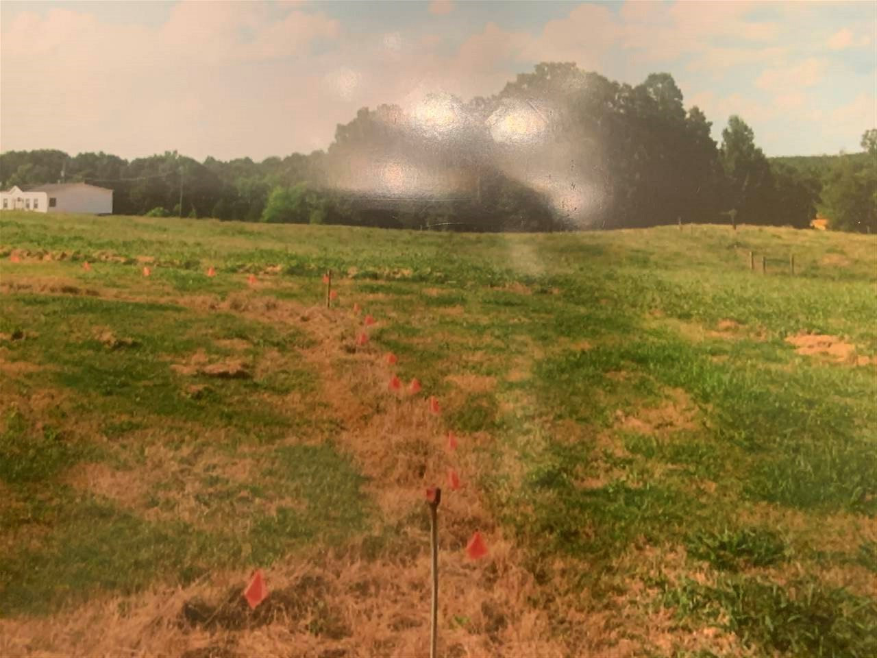 None None None Purvis Road, Unit NONE Walnut Grove, MS 39189 - Photo 10 of 13 Photo 10
