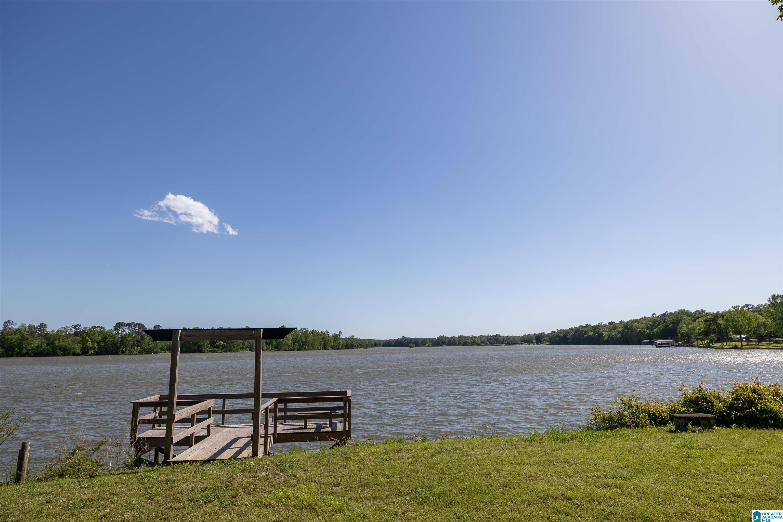 35 Stillwater Cove Riverside, AL 35135 - Photo 46 of 50