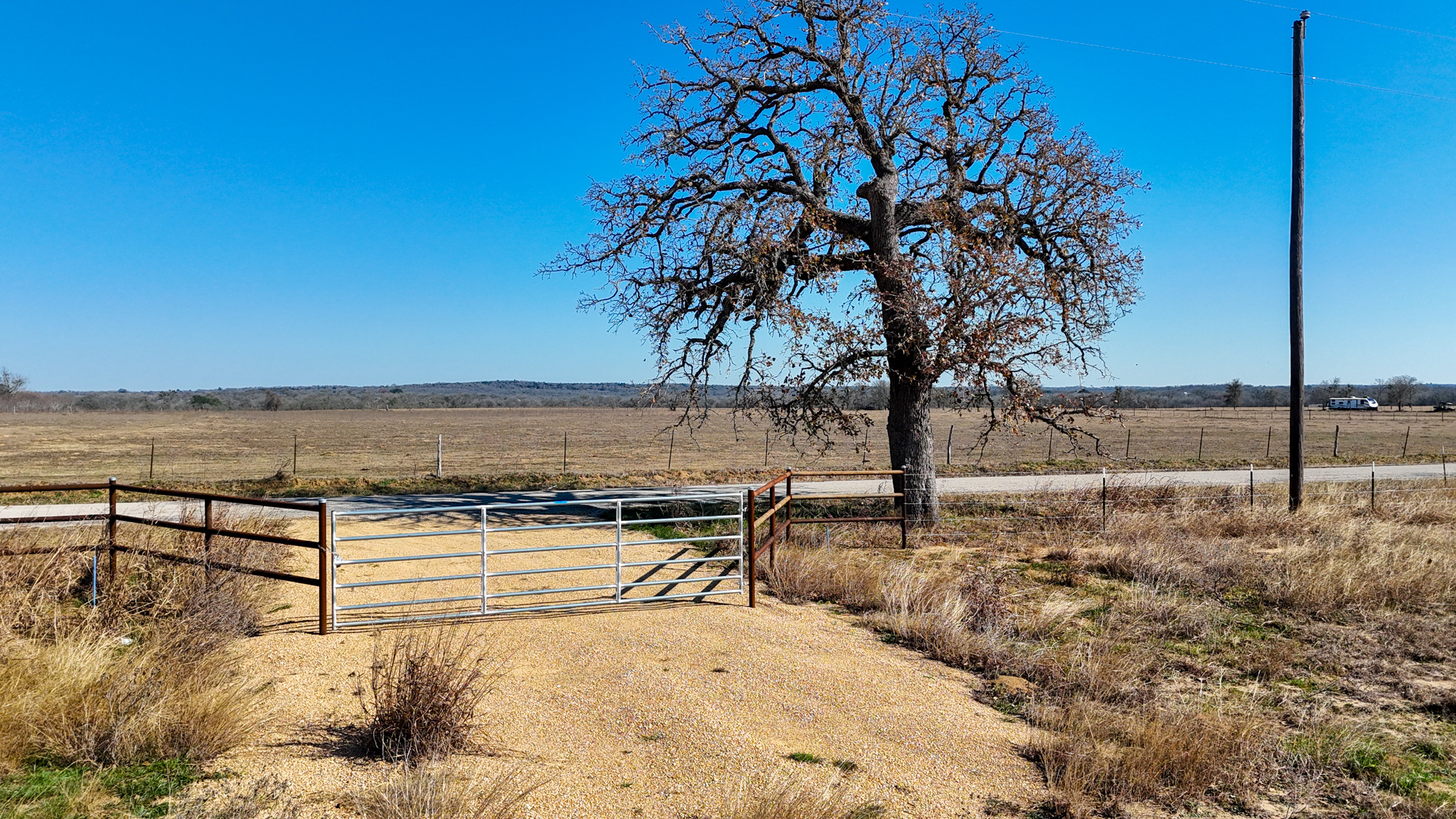 a view of a backyard with wooden fence
