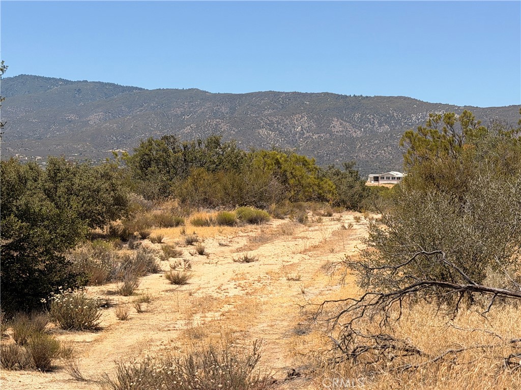 58650 Wellman Road Anza, CA 92539 - Photo 4 of 4