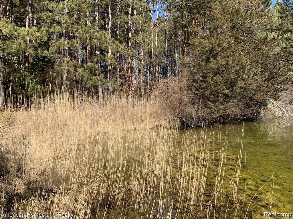 3540 Swaffer Road Millington, MI 48746 - Photo 8 of 19