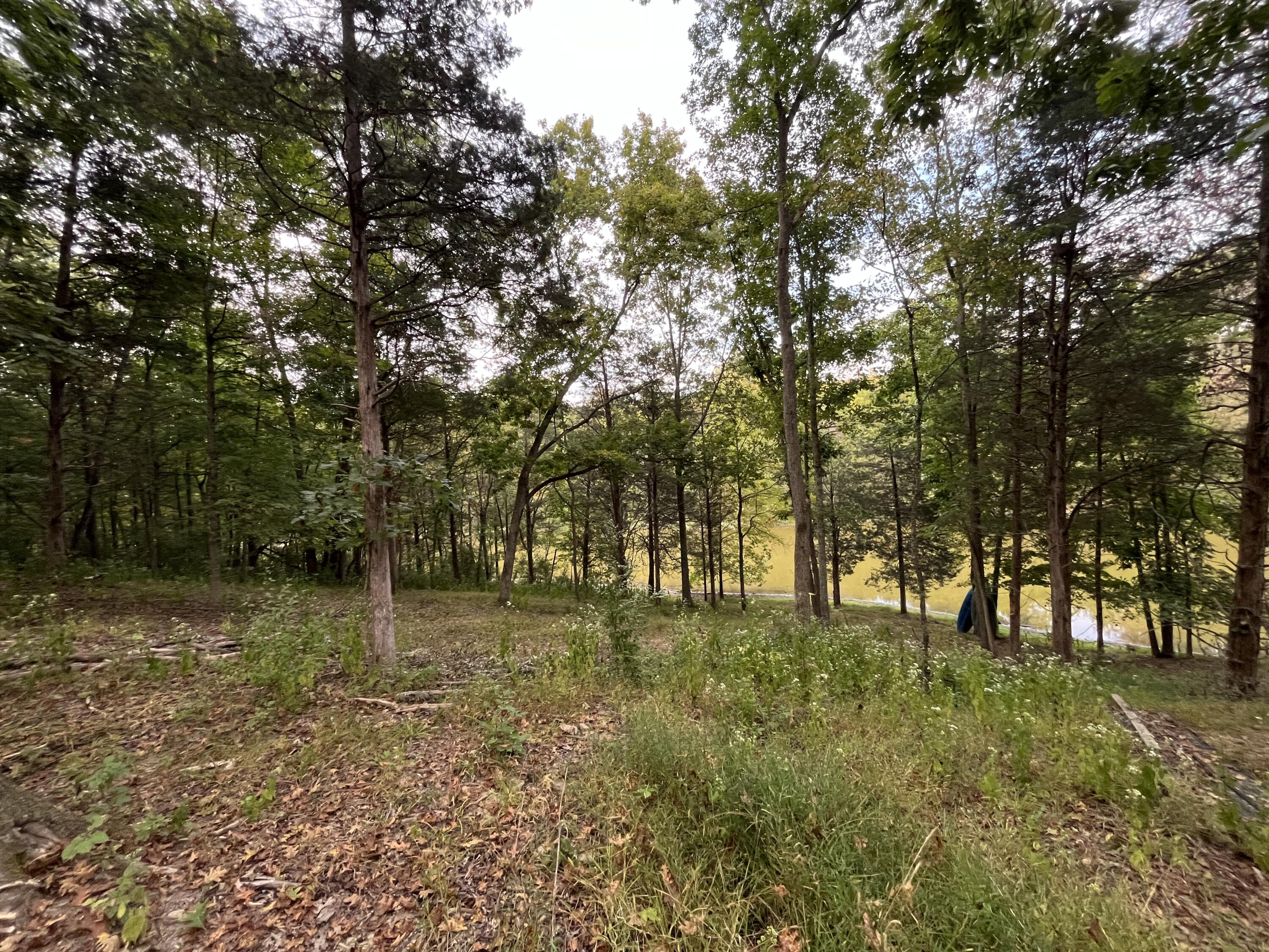 3105 Gratz Road Owenton, KY 40359 - Photo 23 of 37