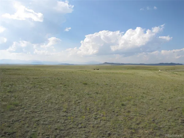 $9,300 | 1429 D Anadarko Road, Hartsel, CO 80449