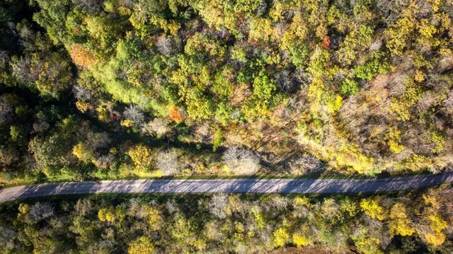 $850,000 | 17161 Co Hwy F, Sheldon, WI 54648