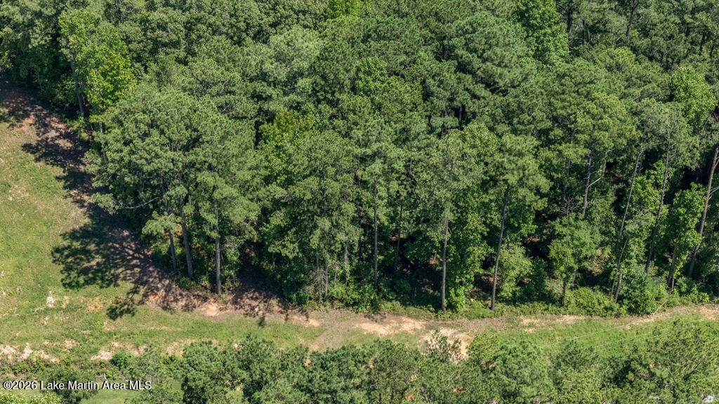 1392 Sturdivant Road Jacksons Gap, AL 36861 - Photo 12 of 18 Gallery Image 12