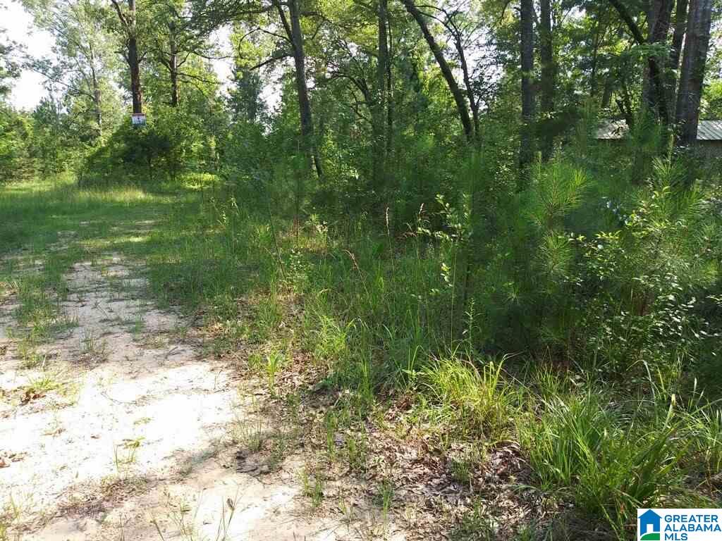 111 County Road, Unit 1 Montevallo, AL 35115 - Photo 2 of 2