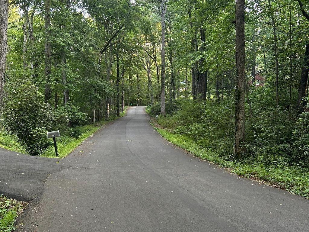 286 Hilton Way Canton, GA 30114 - Photo 49 of 59 a view of a forest with trees