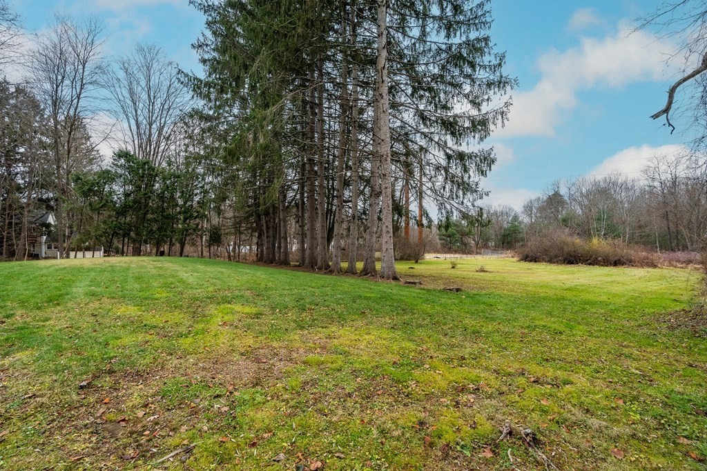 70 Leverett Road Amherst, MA 01002 - Photo 40 of 42 a view of yard with trees