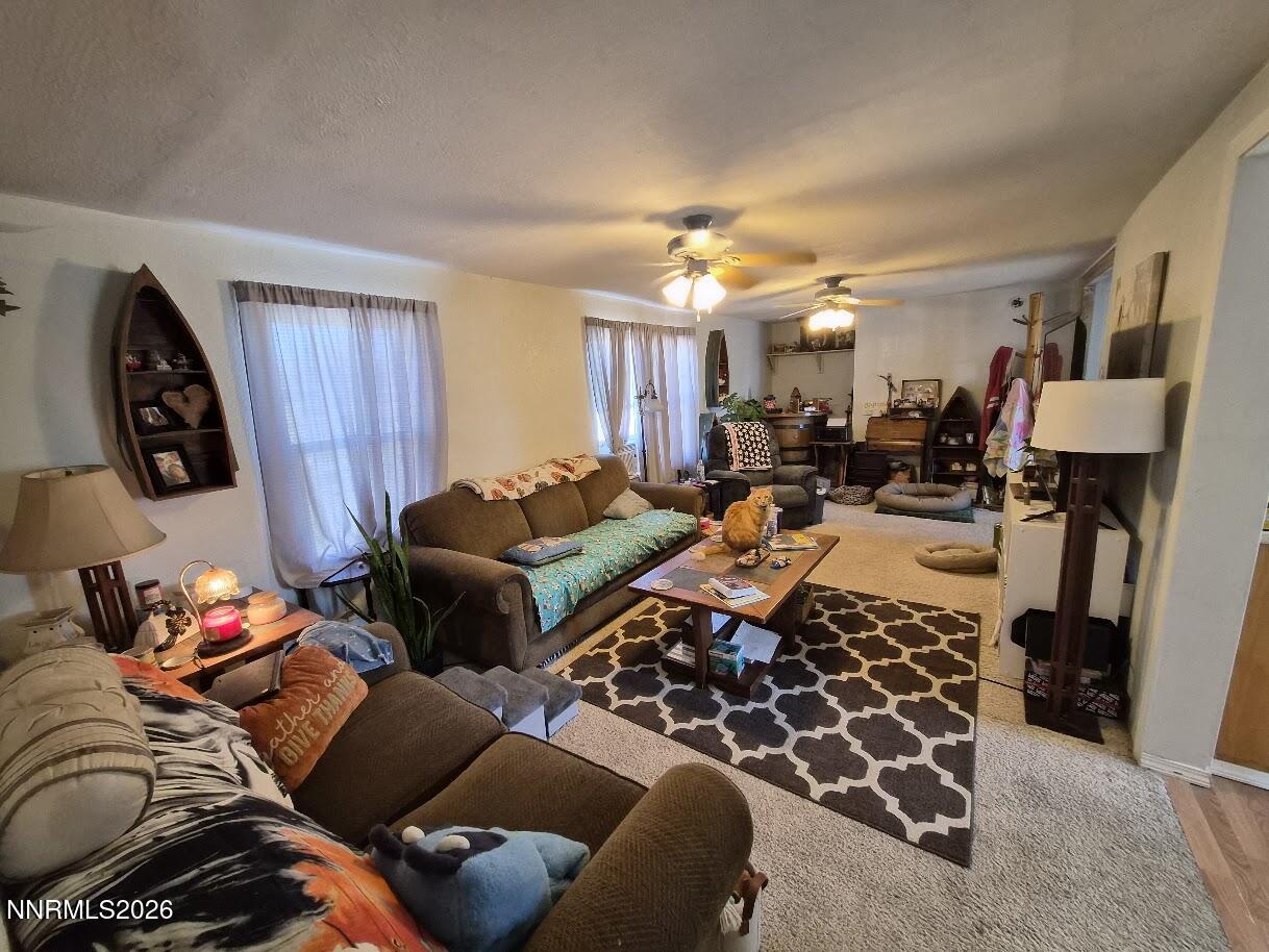 350 Vine Street Fernley, NV 89408 - Photo 38 of 48 20260730_102725