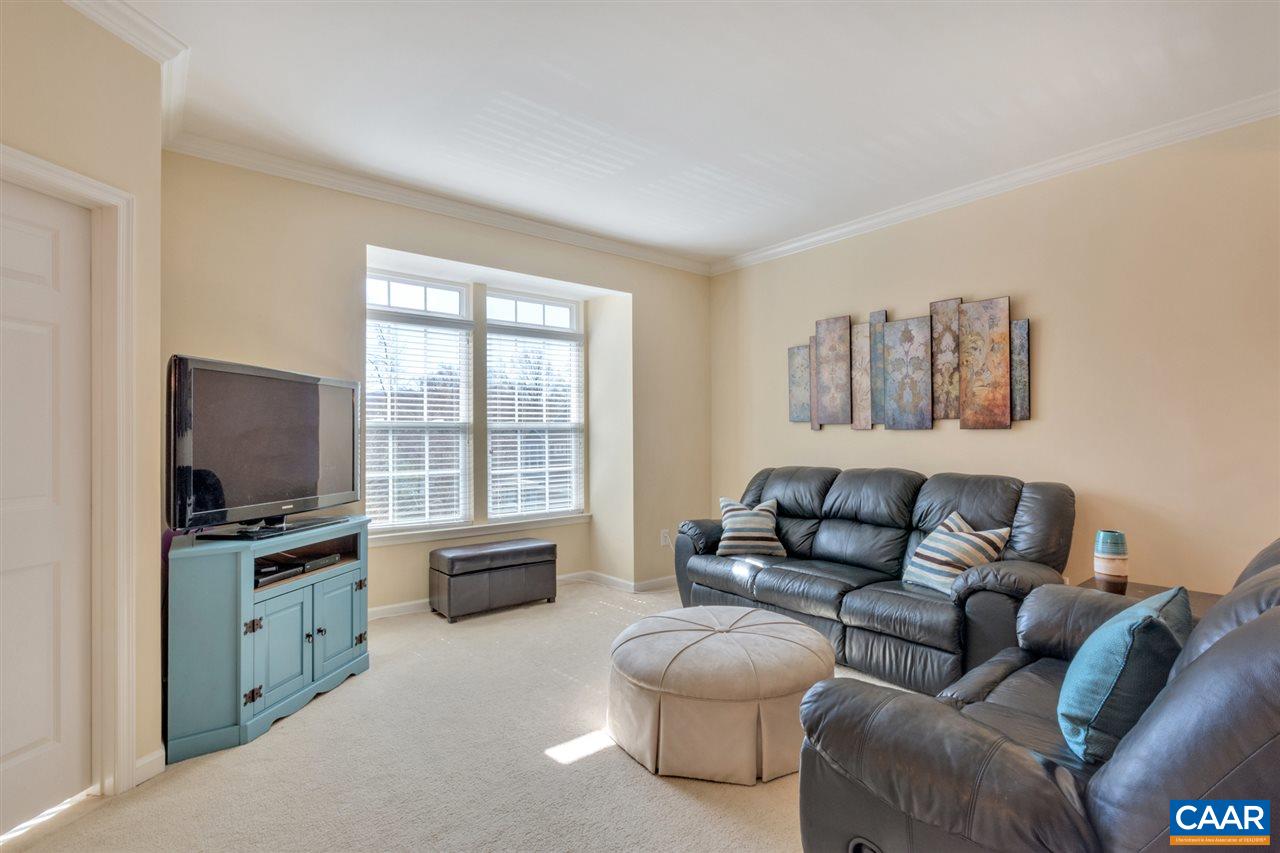 735 Rainier Road Charlottesville, VA 22903 - Photo 10 of 30 a living room with furniture and a flat screen tv