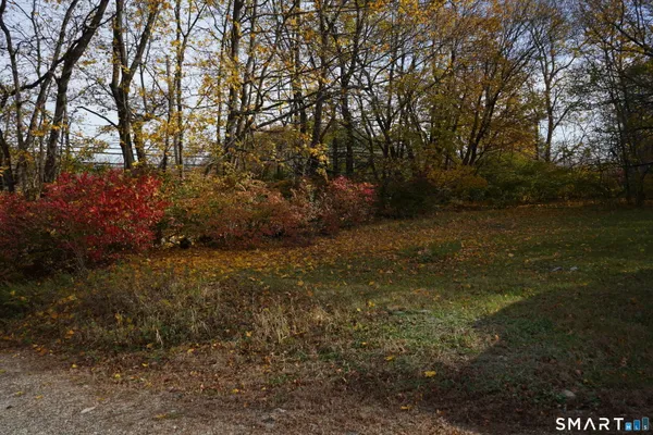 a view of backyard with green space