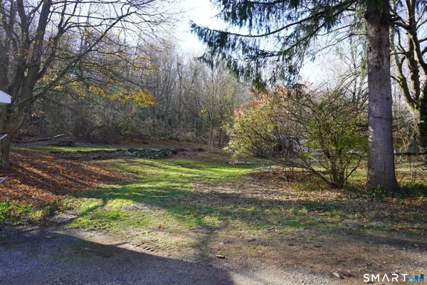a view of a yard with a tree