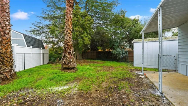 a backyard of a house with plants and large tree