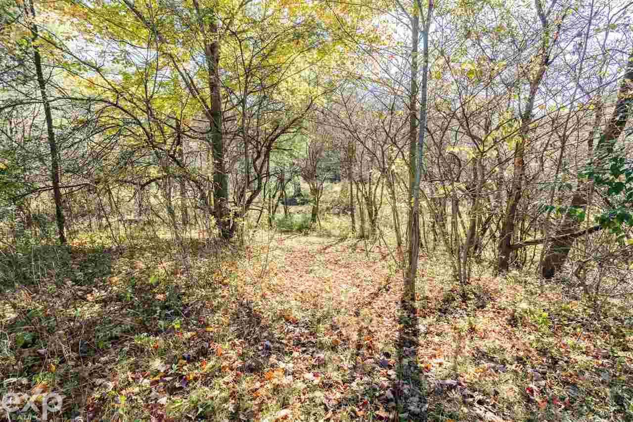 7066 Cribbins Road Jeddo, MI 48032 - Photo 8 of 34