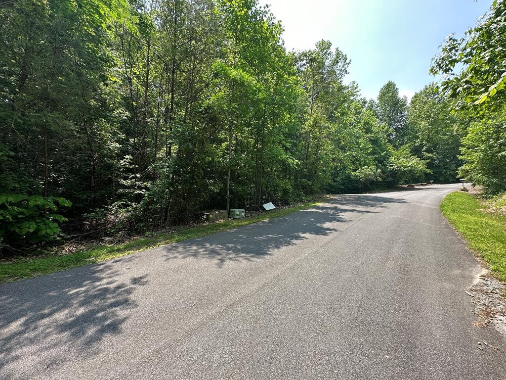 49 Piney Ridge Way Sevierville, TN 37862 - Photo 1 of 8