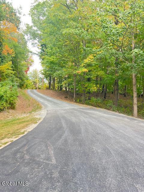 23 Lyons Lake Road Nassau, NY 12123 - Photo 2 of 51 IMG_5991