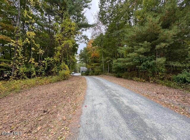 23 Lyons Lake Road Nassau, NY 12123 - Photo 51 of 51 IMG_5995