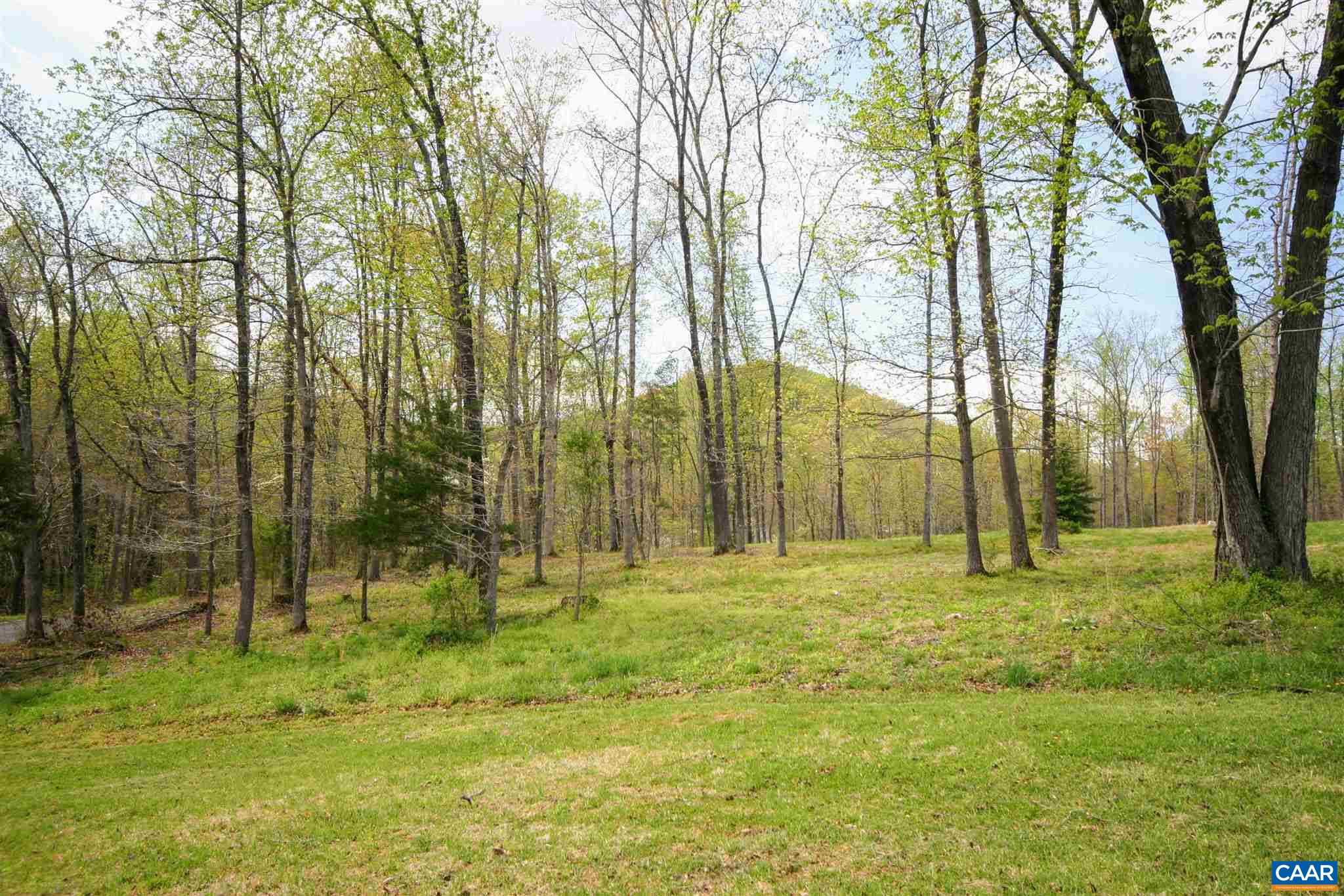 Tba Octonia Road Stanardsville, VA 22973 - Photo 20 of 42 a backyard of apartments with large trees
