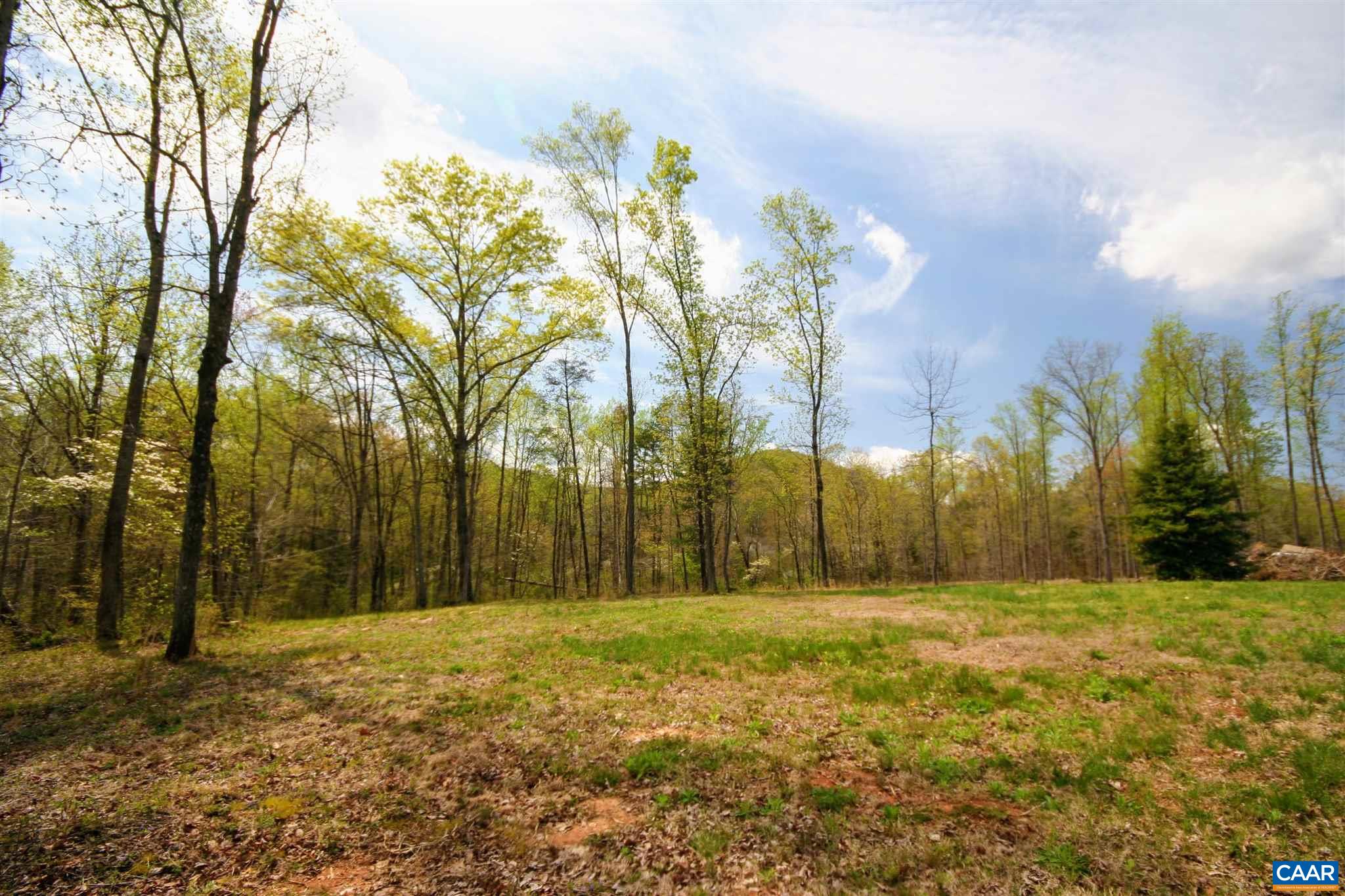 Tba Octonia Road Stanardsville, VA 22973 - Photo 23 of 42 a view of backyard with tree