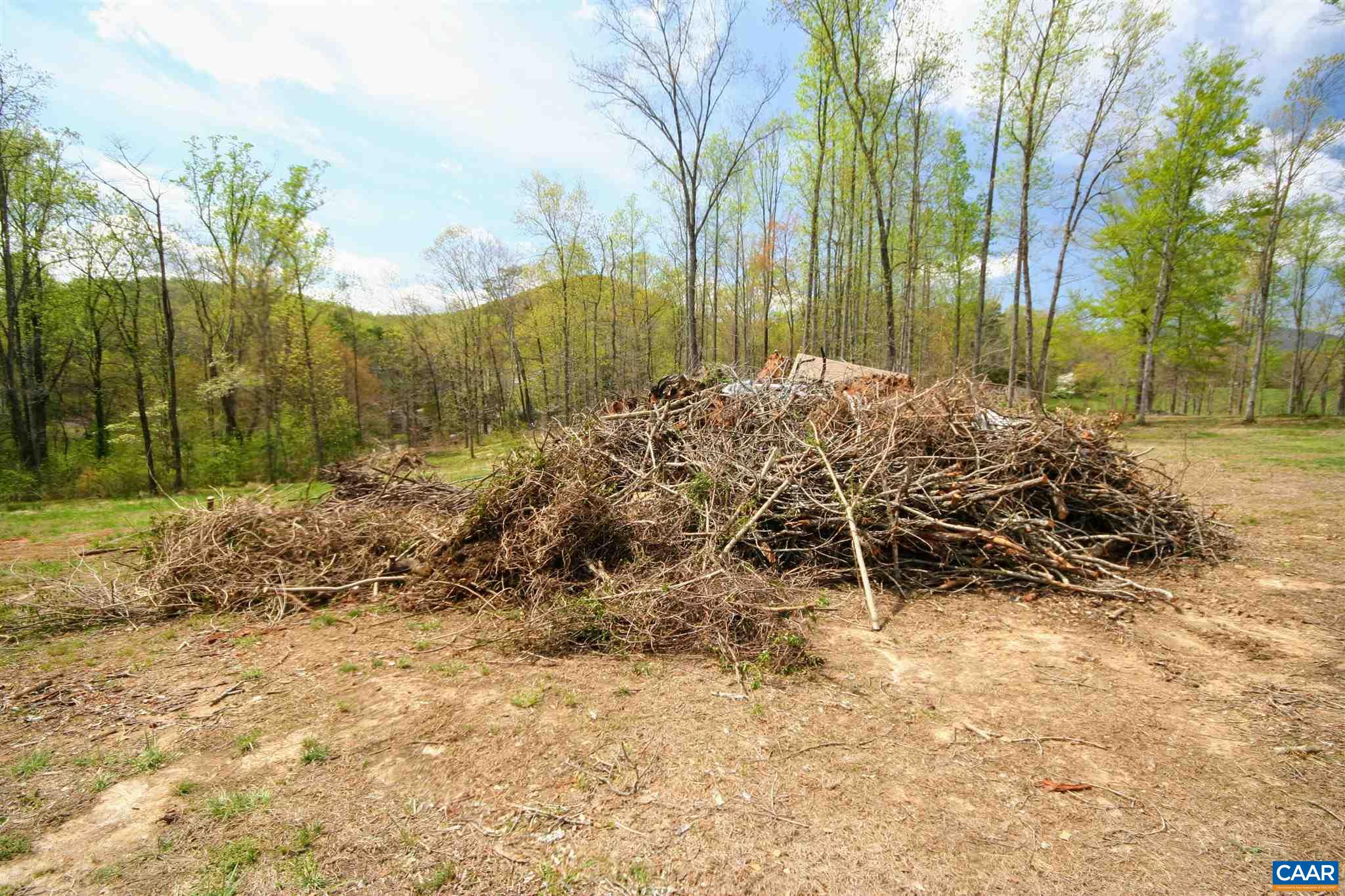 Tba Octonia Road Stanardsville, VA 22973 - Photo 24 of 42 a view of backyard with trees