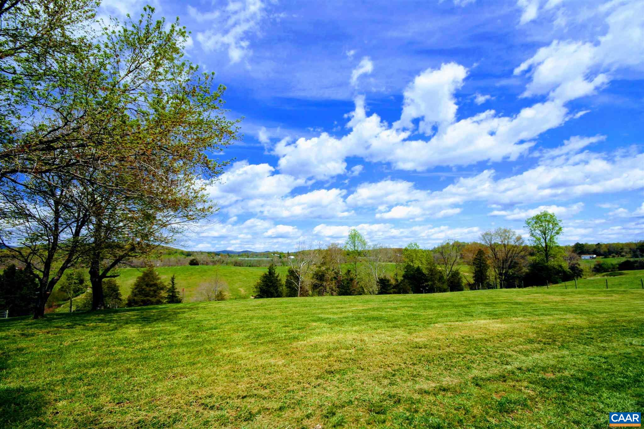 Tba Octonia Road Stanardsville, VA 22973 - Photo 28 of 42 a view of a big yard with large trees