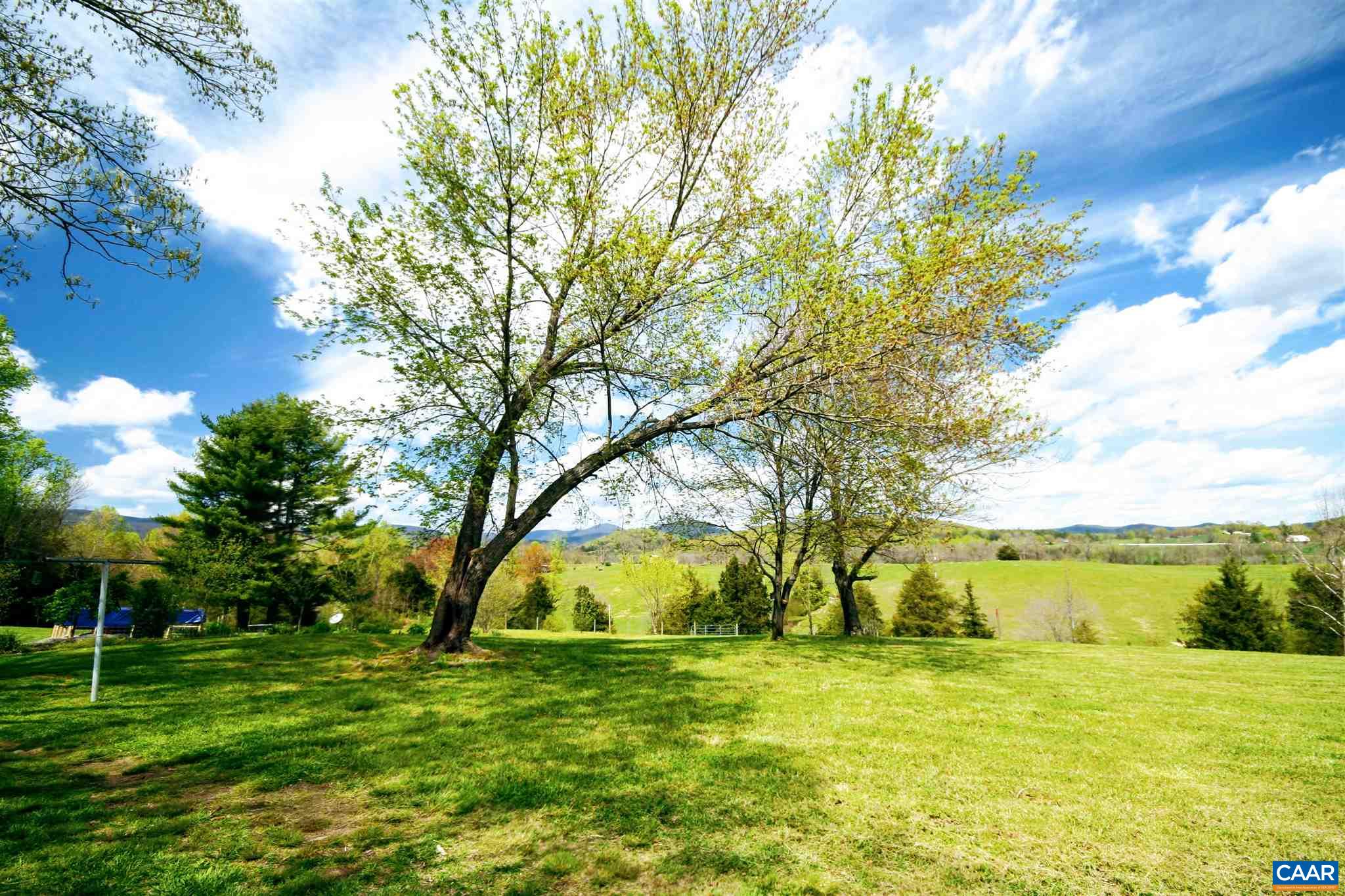 Tba Octonia Road Stanardsville, VA 22973 - Photo 29 of 42 a big yard with trees in the background