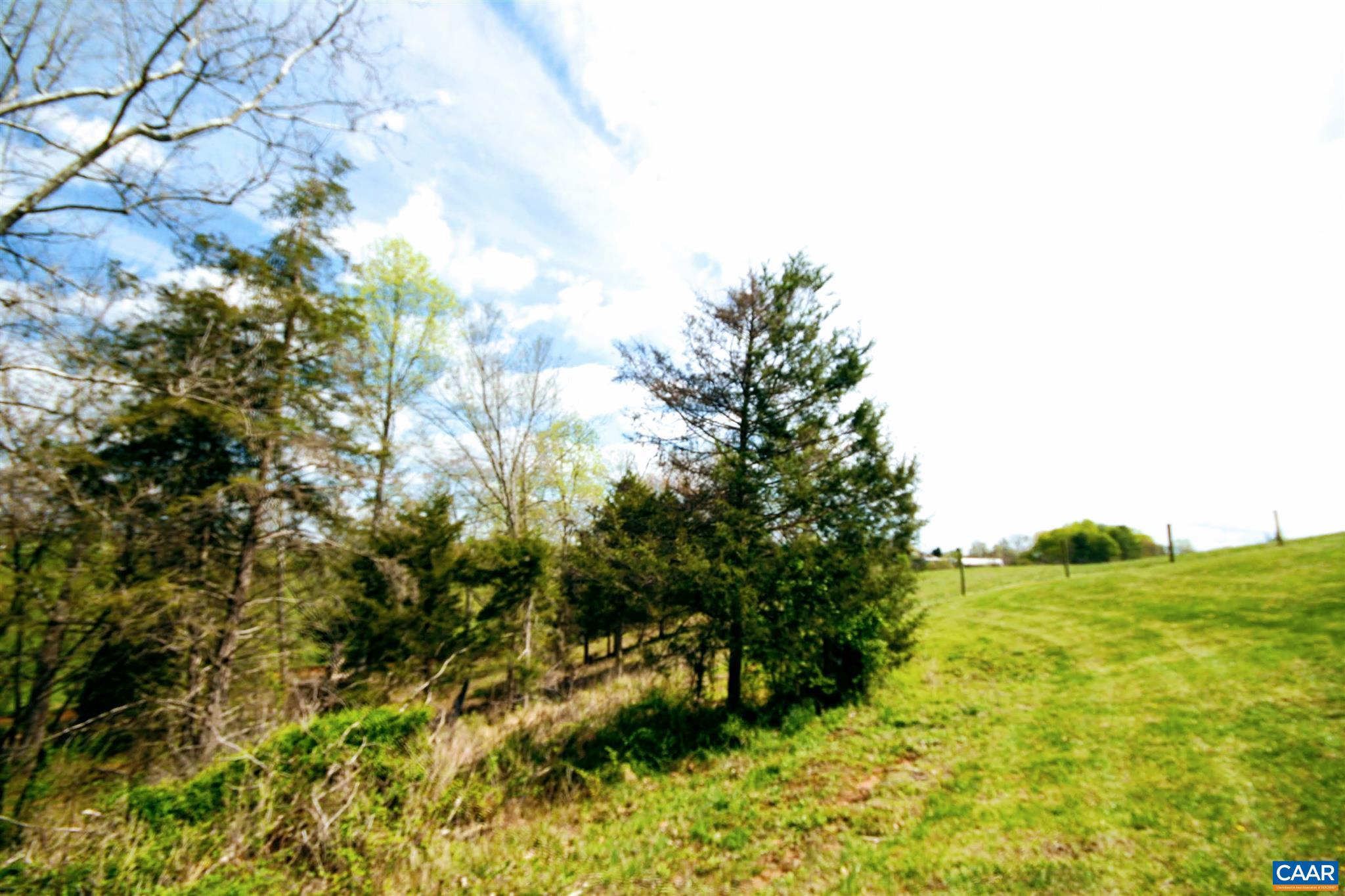 Tba Octonia Road Stanardsville, VA 22973 - Photo 35 of 42 a view of a garden