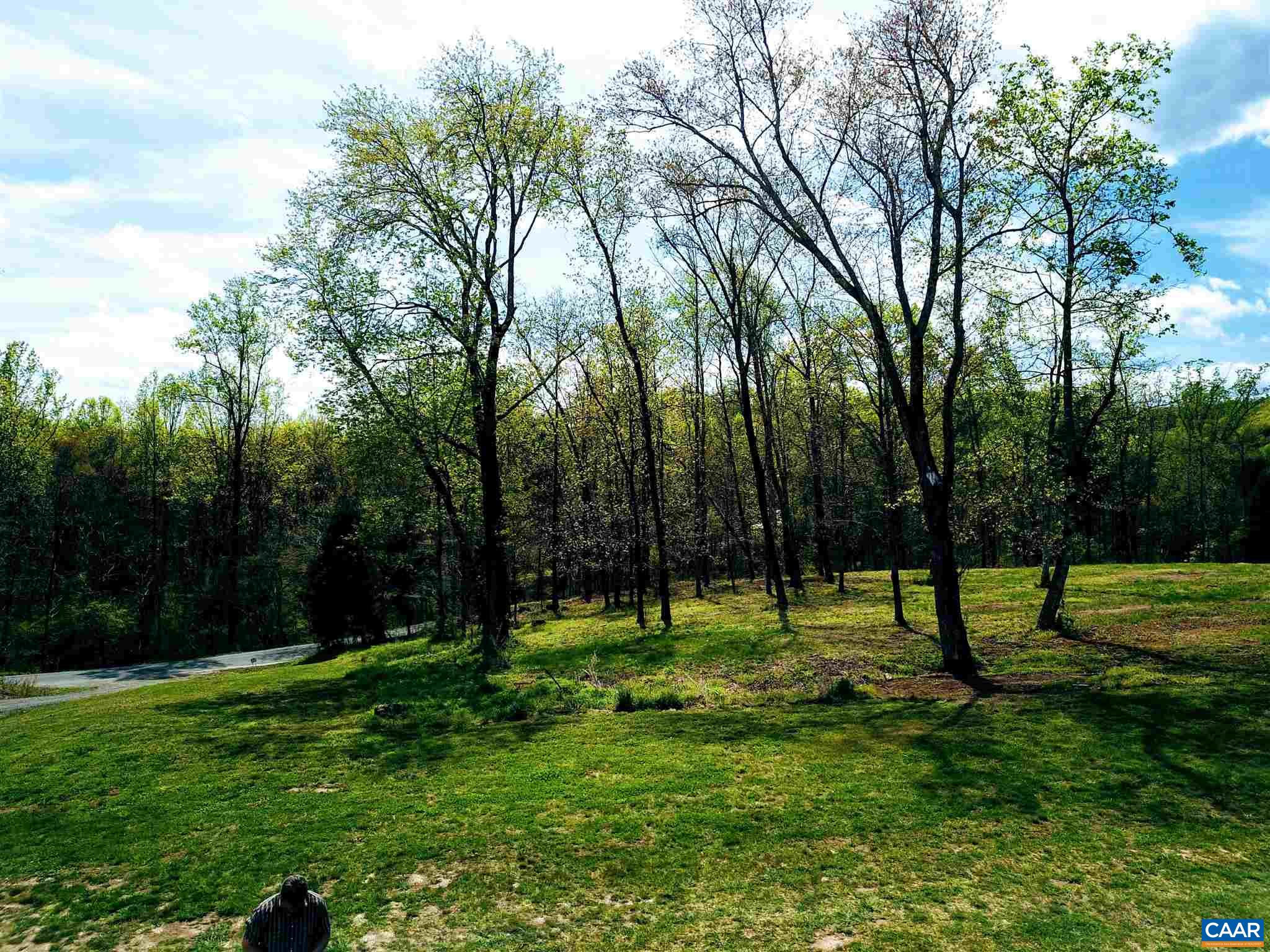 Tba Octonia Road Stanardsville, VA 22973 - Photo 6 of 42 a view of park space