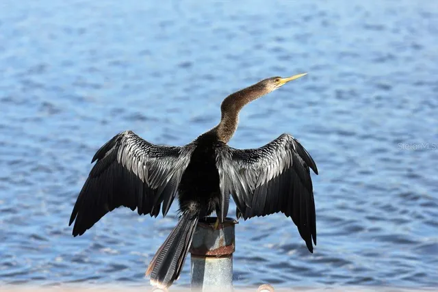 a view of lake and mountain