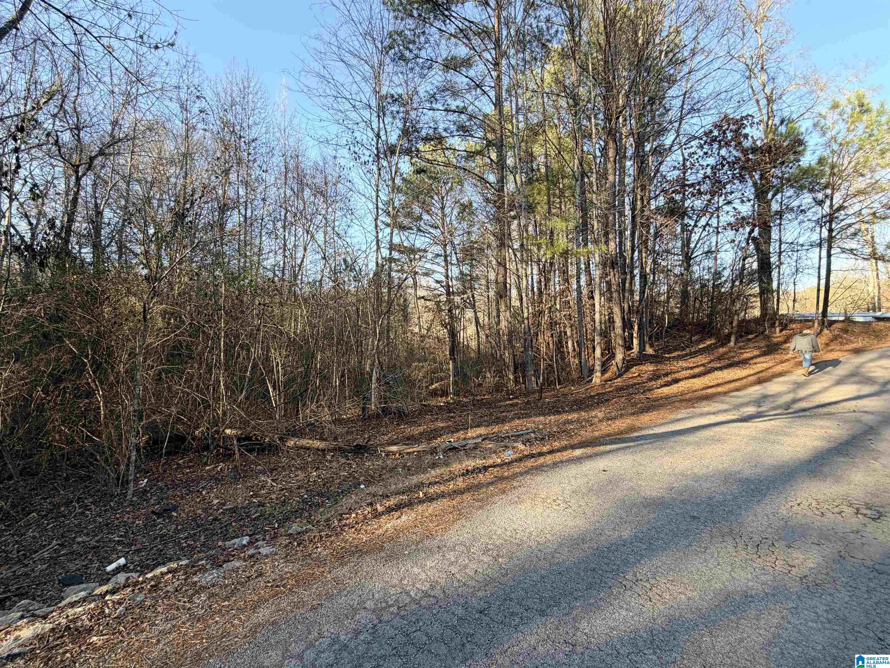 2 Scott Road Cordova, AL 35550 - Photo 3 of 8