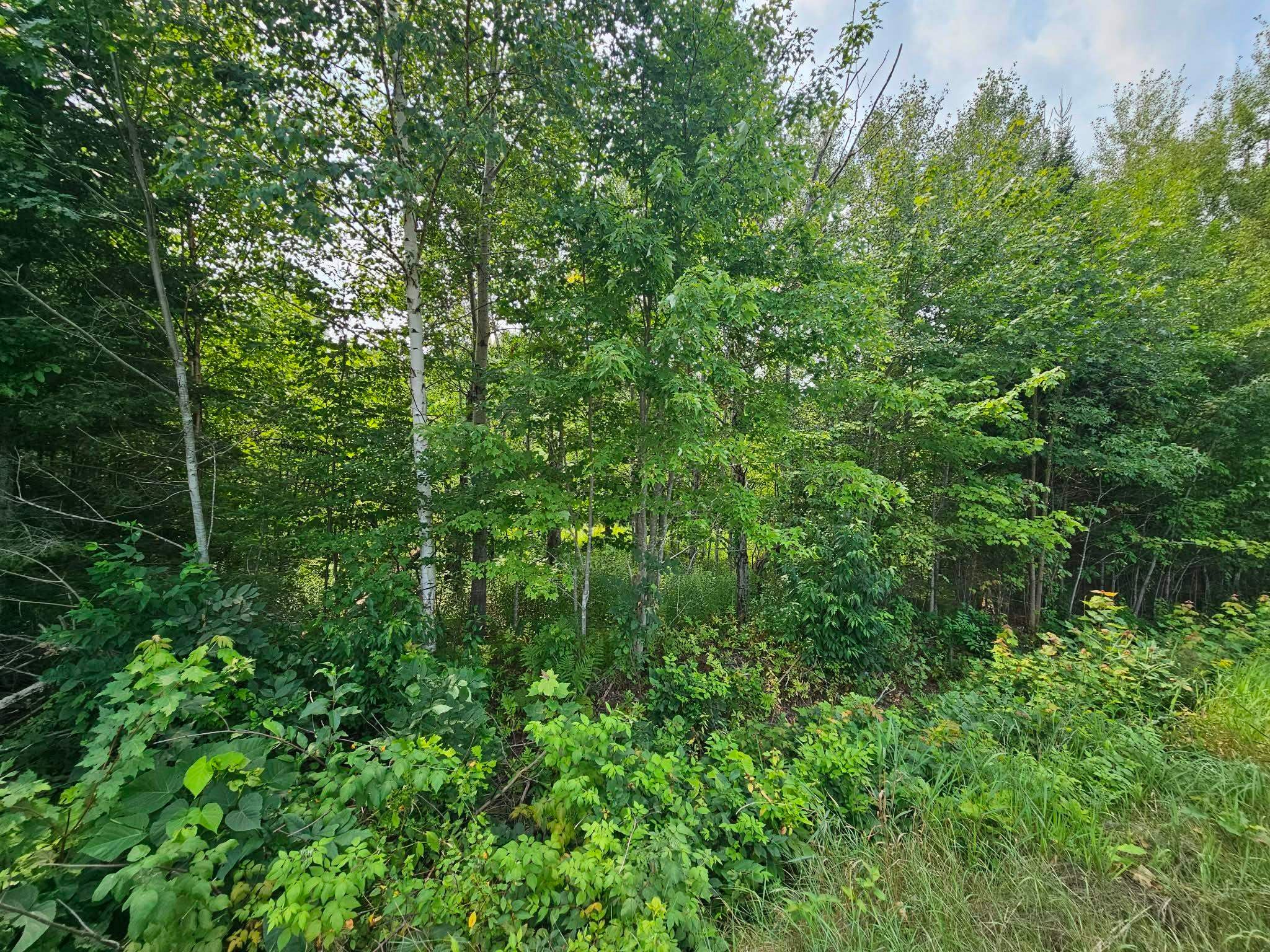 1447 Spur Road Sheldon, WI 54766 - Photo 15 of 16 Gallery Image 15