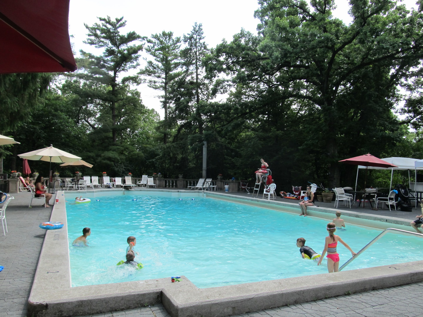 52 Bluff Road Trout Valley, IL 60013 - Photo 28 of 36 a view of a swimming pool with lawn chairs under an umbrella