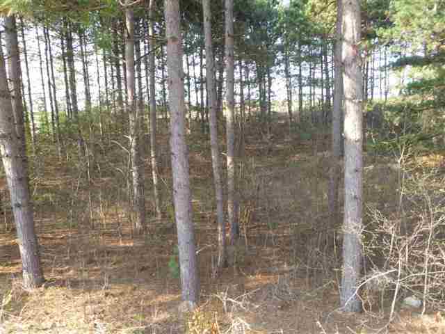 0 County Road OO Rosholt, WI 54473 - Photo 1 of 1