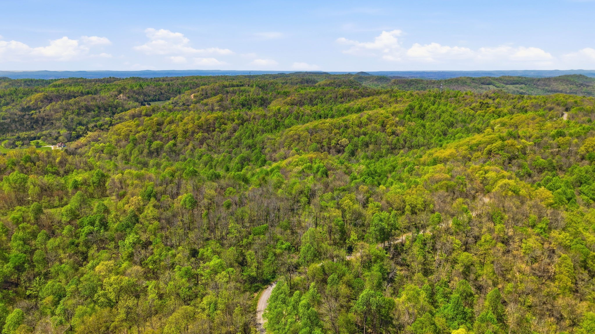 0 Green Road Beechgrove, TN 37018 - Photo 11 of 21