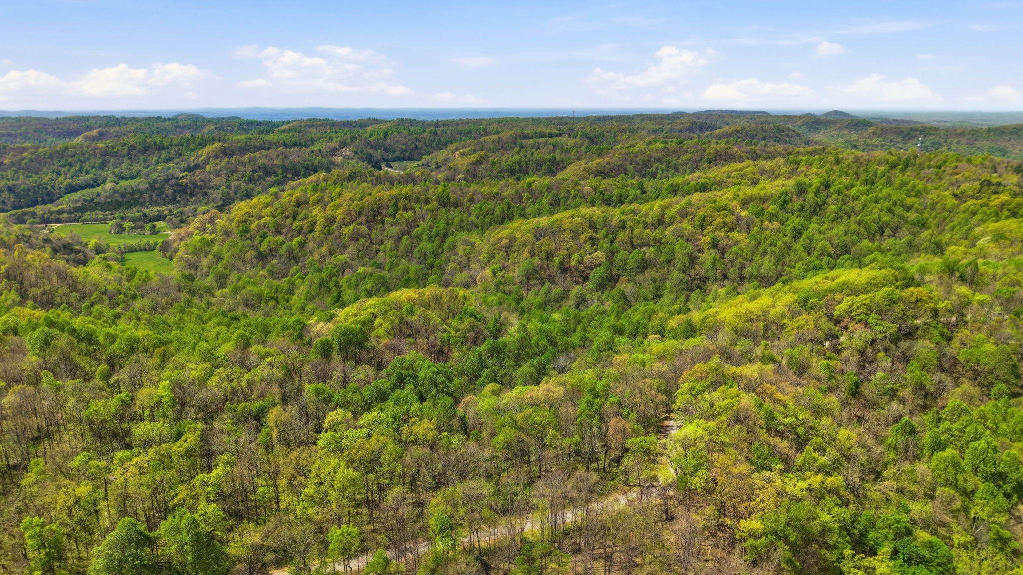 0 Green Road Beechgrove, TN 37018 - Photo 13 of 21