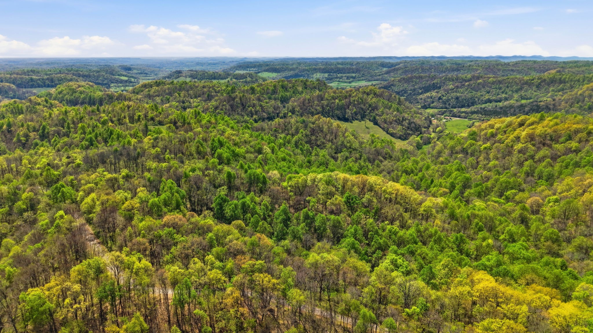 0 Green Road Beechgrove, TN 37018 - Photo 14 of 21