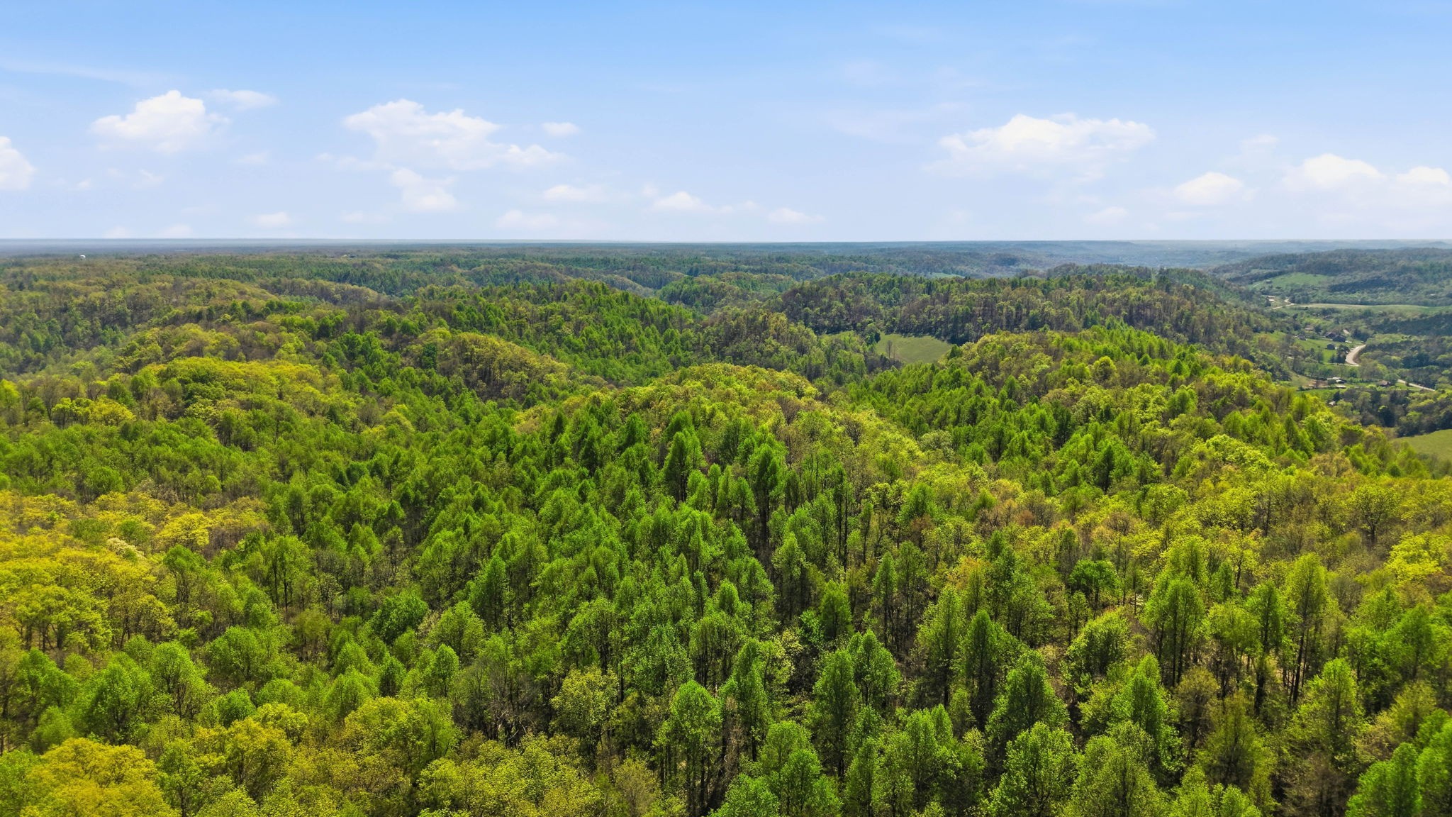 0 Green Road Beechgrove, TN 37018 - Photo 17 of 21