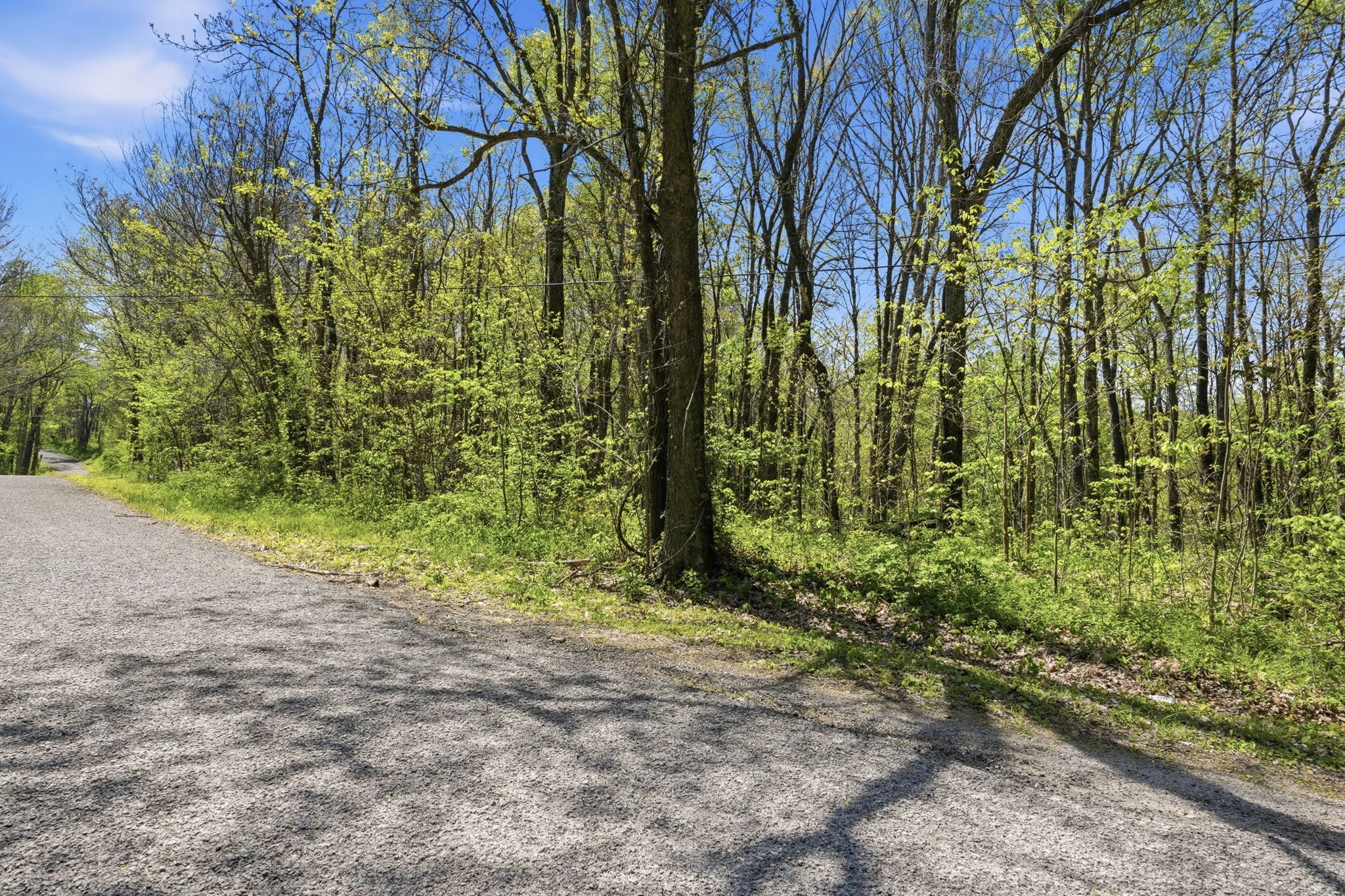 0 Green Road Beechgrove, TN 37018 - Photo 19 of 21