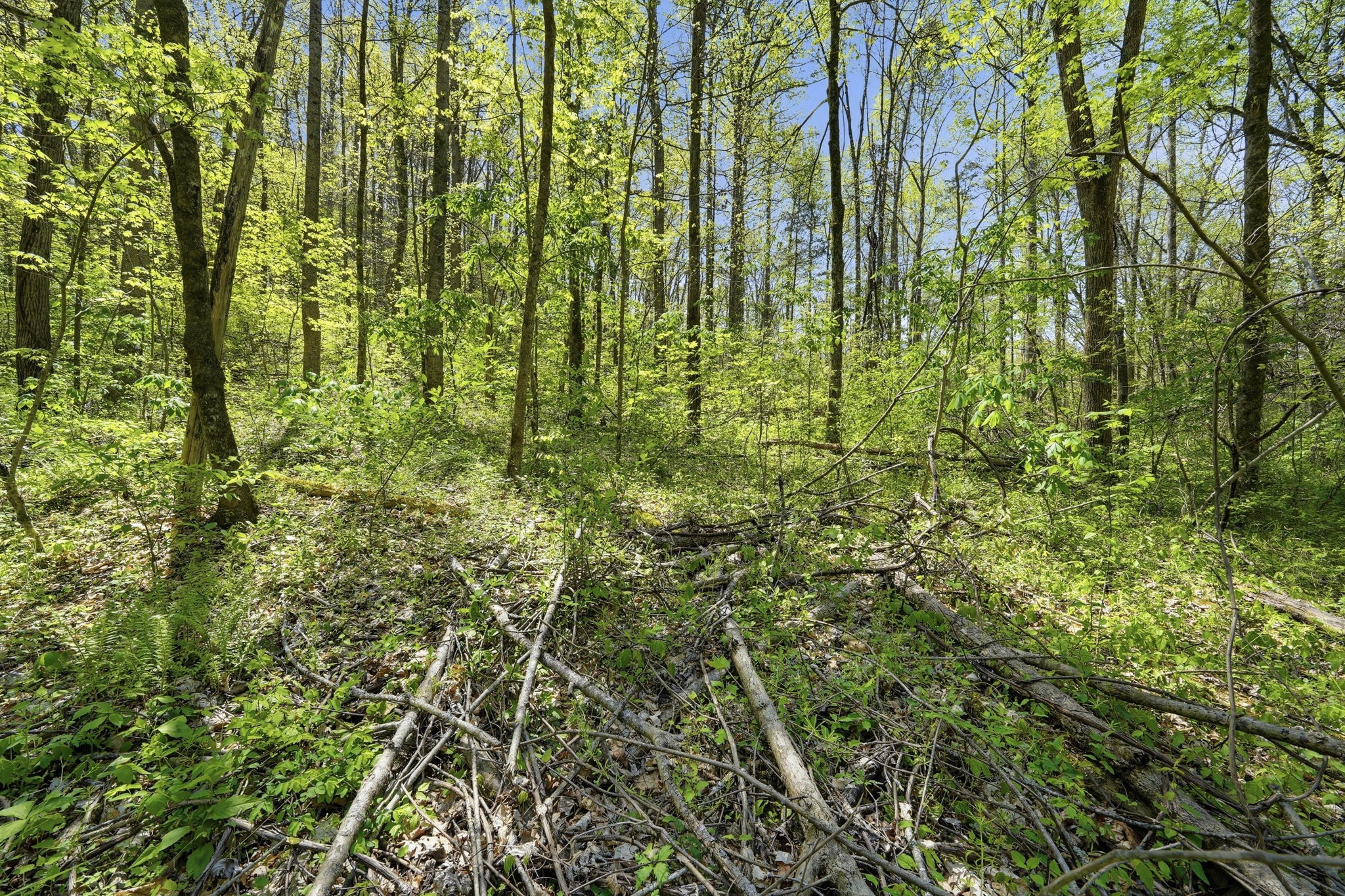 0 Green Road Beechgrove, TN 37018 - Photo 20 of 21