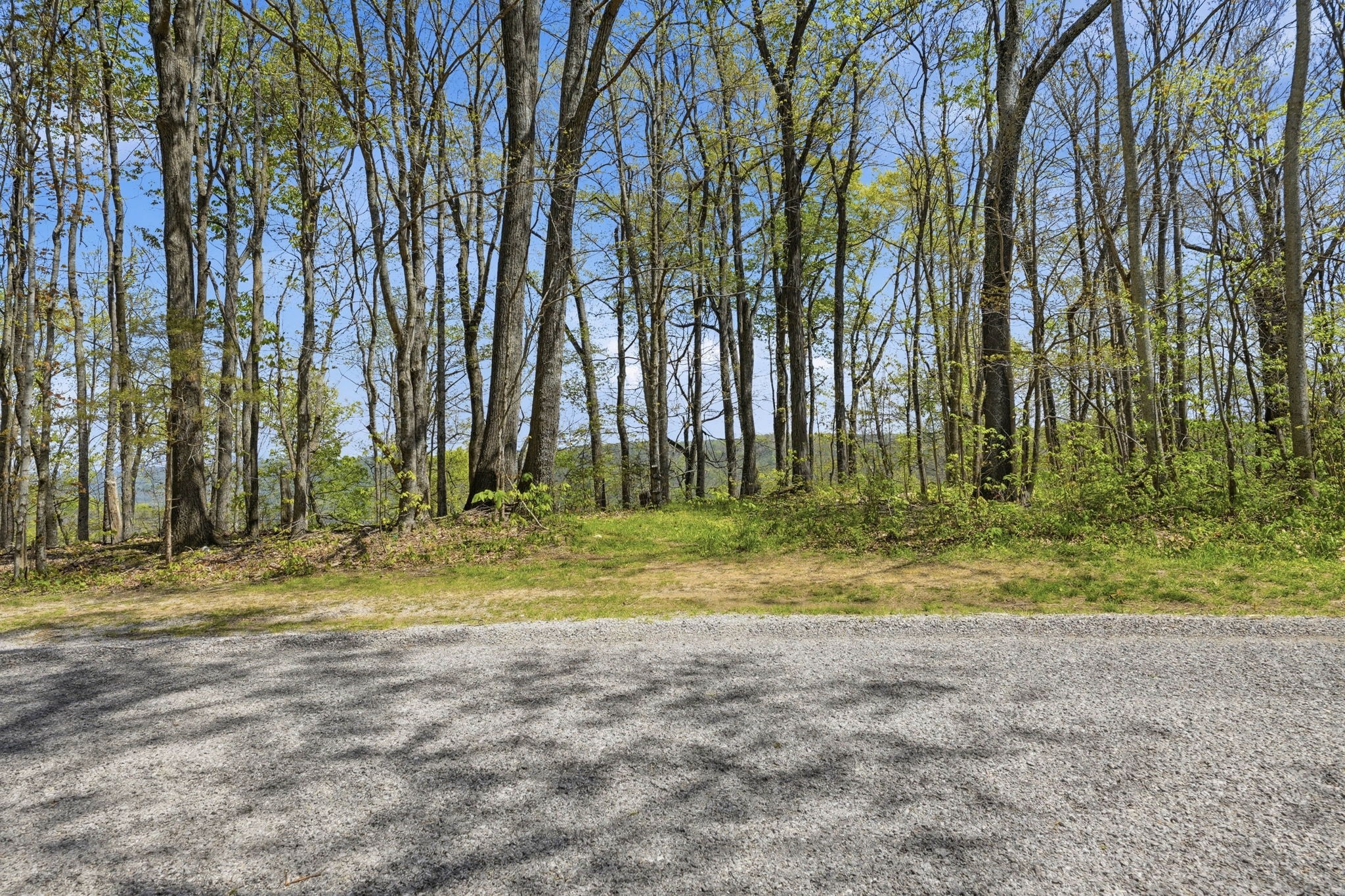 0 Green Road Beechgrove, TN 37018 - Photo 3 of 21