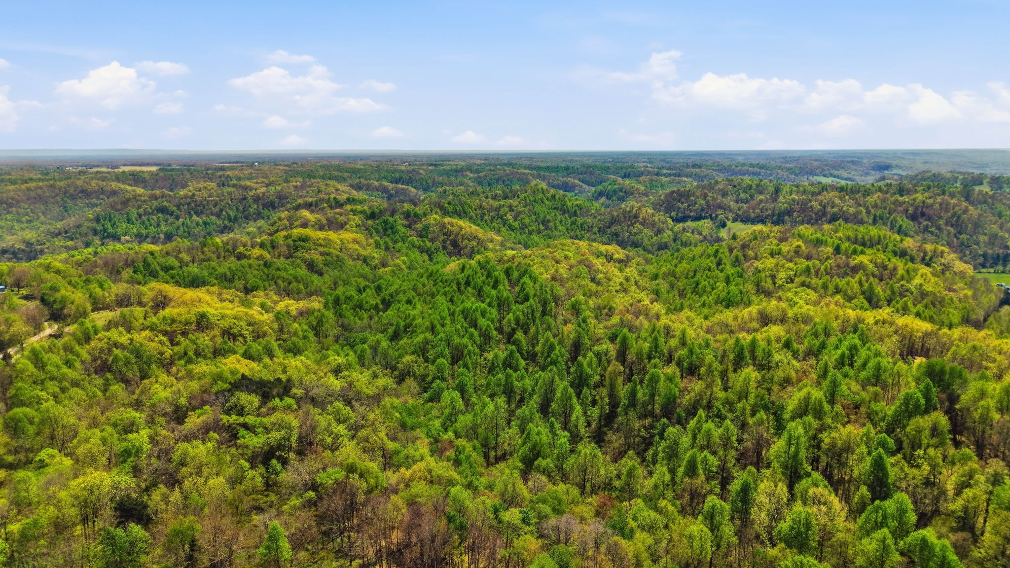 0 Green Road Beechgrove, TN 37018 - Photo 6 of 21