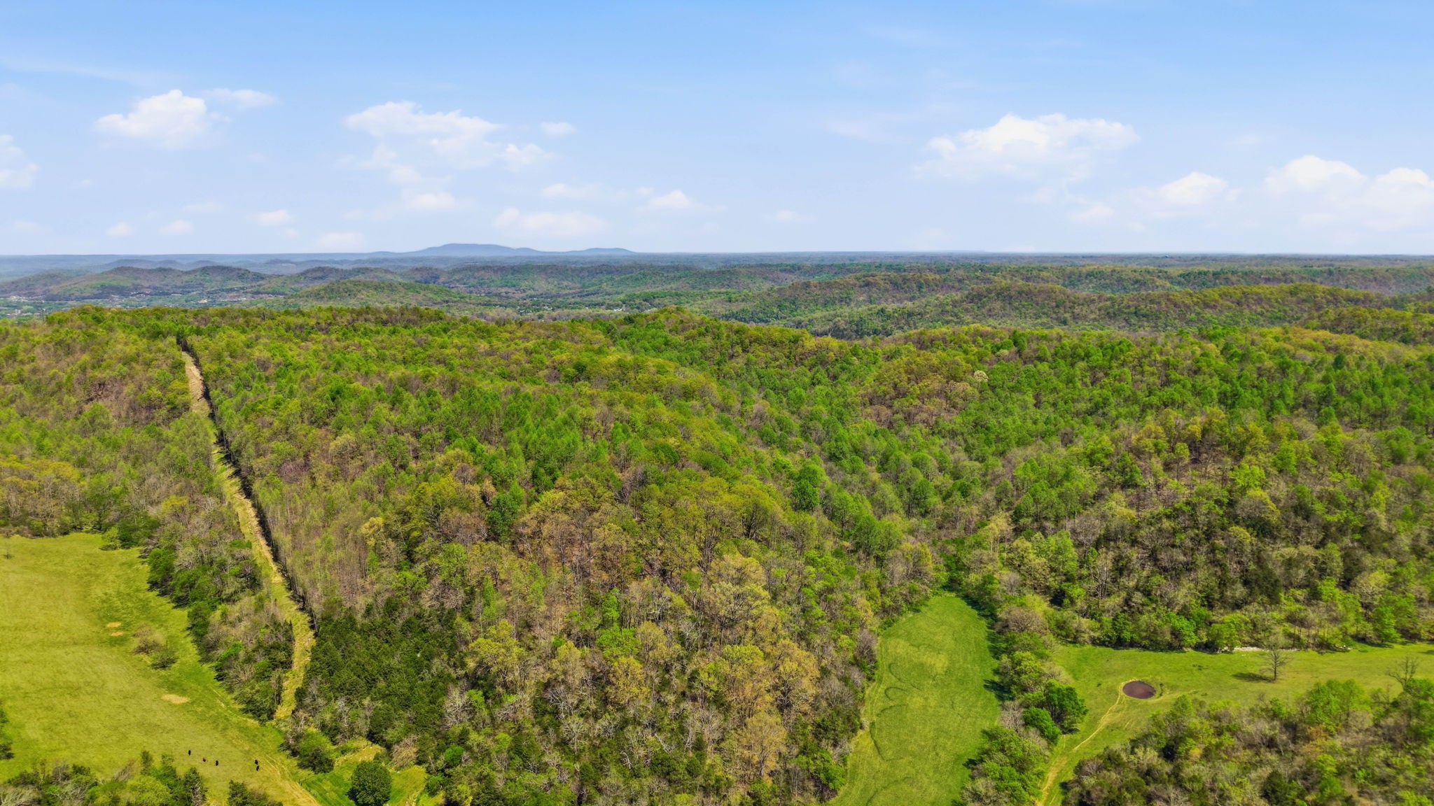0 Green Road Beechgrove, TN 37018 - Photo 9 of 21